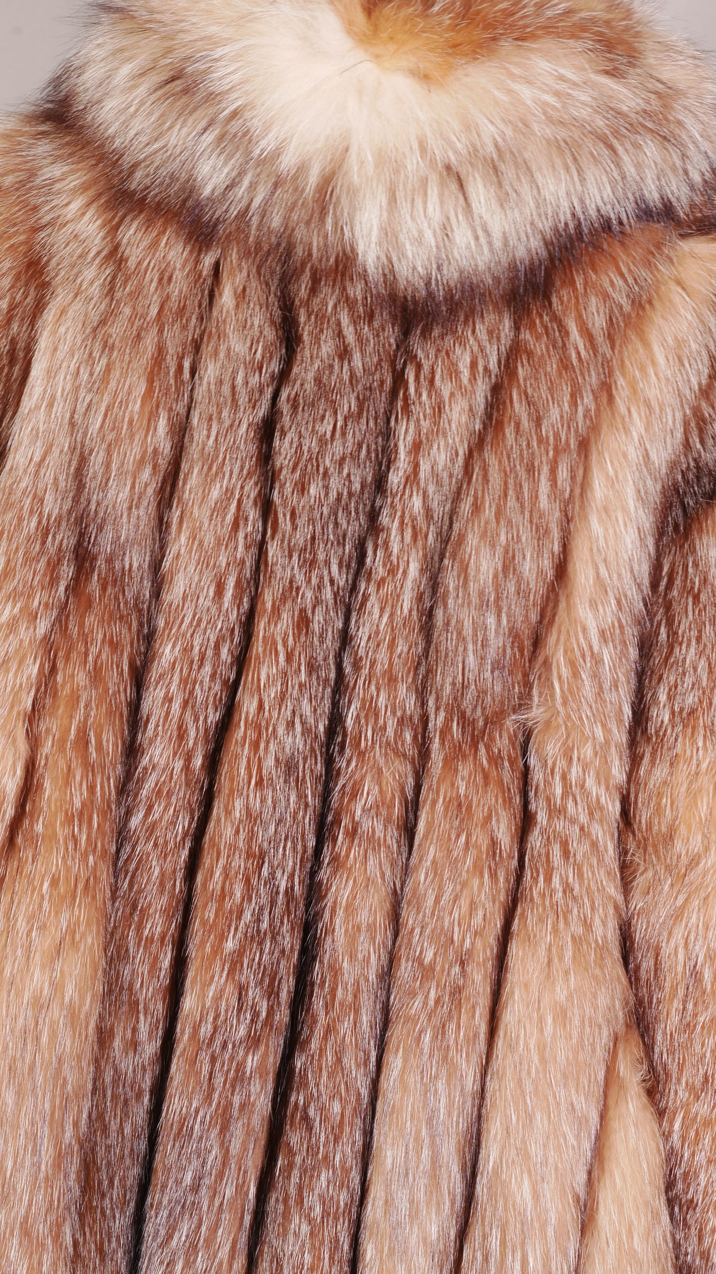 crystal fox stroller