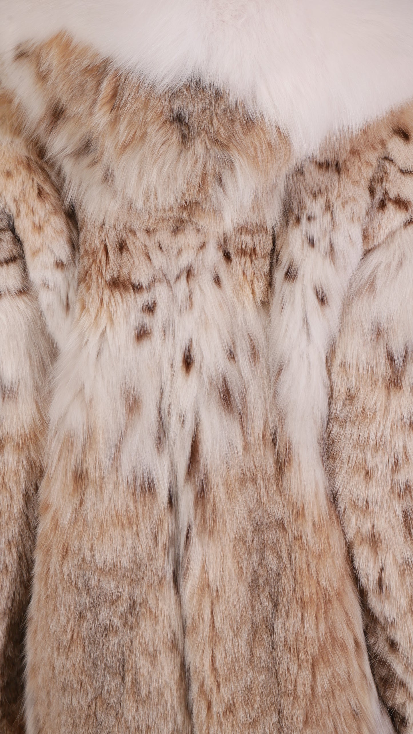 The Canadian Lynx & White Fox Stroller