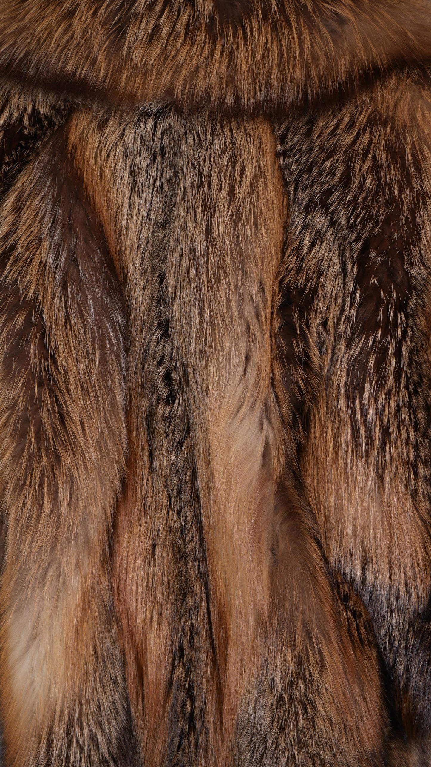 The Saga Certified Cross Fox Stroller