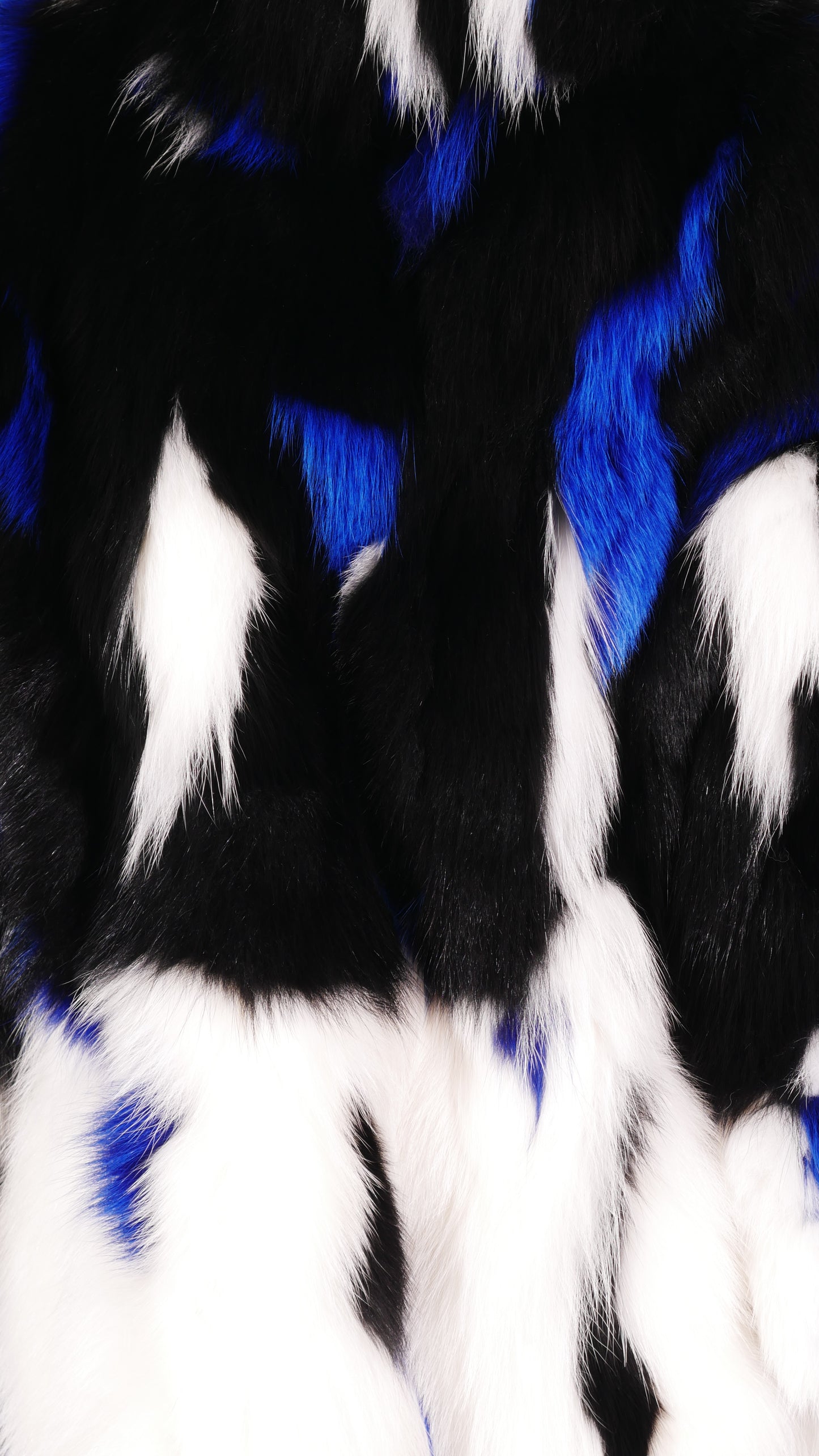 The Dynamic Fox Bomber