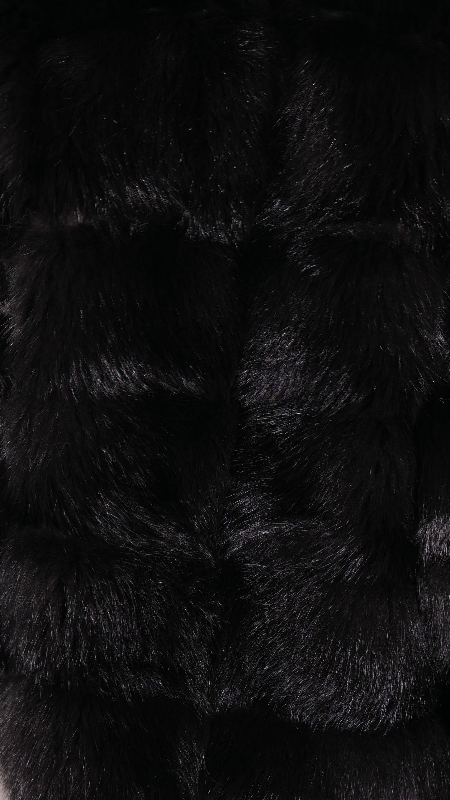 The Timeless Black Fox Coat